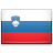Slovinština flag