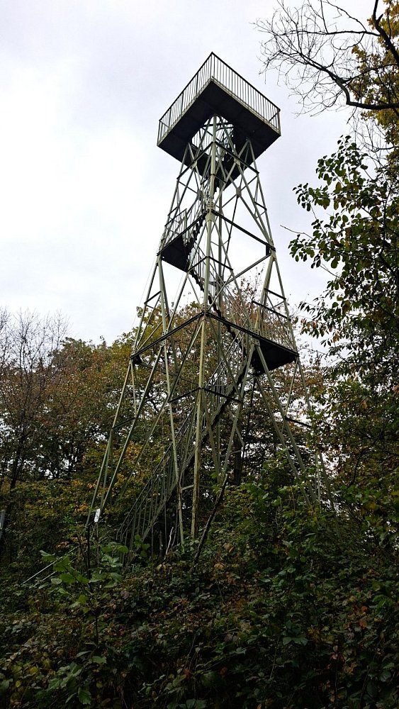Rozhľadňa na Sonnenberg (484)
