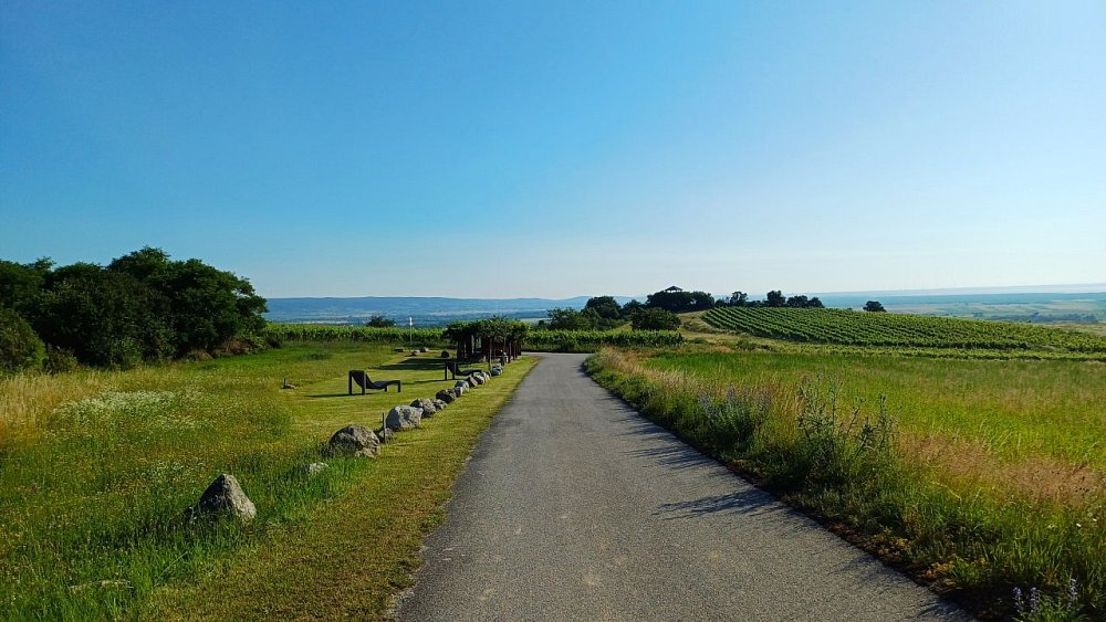 Vinohradnícky náučný chodník nad Oggau am Neusiedler See