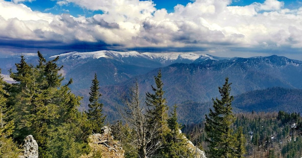 Slovenská osmisměrka