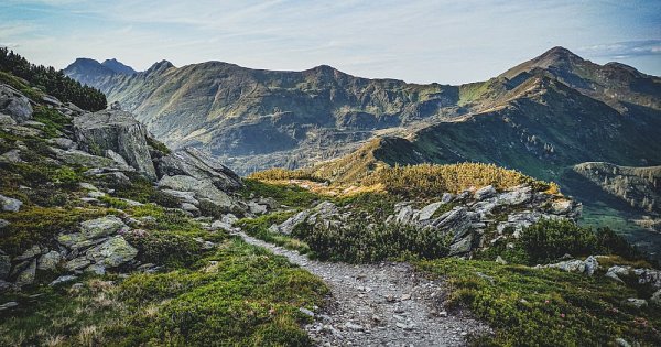 Německá osmisměrka