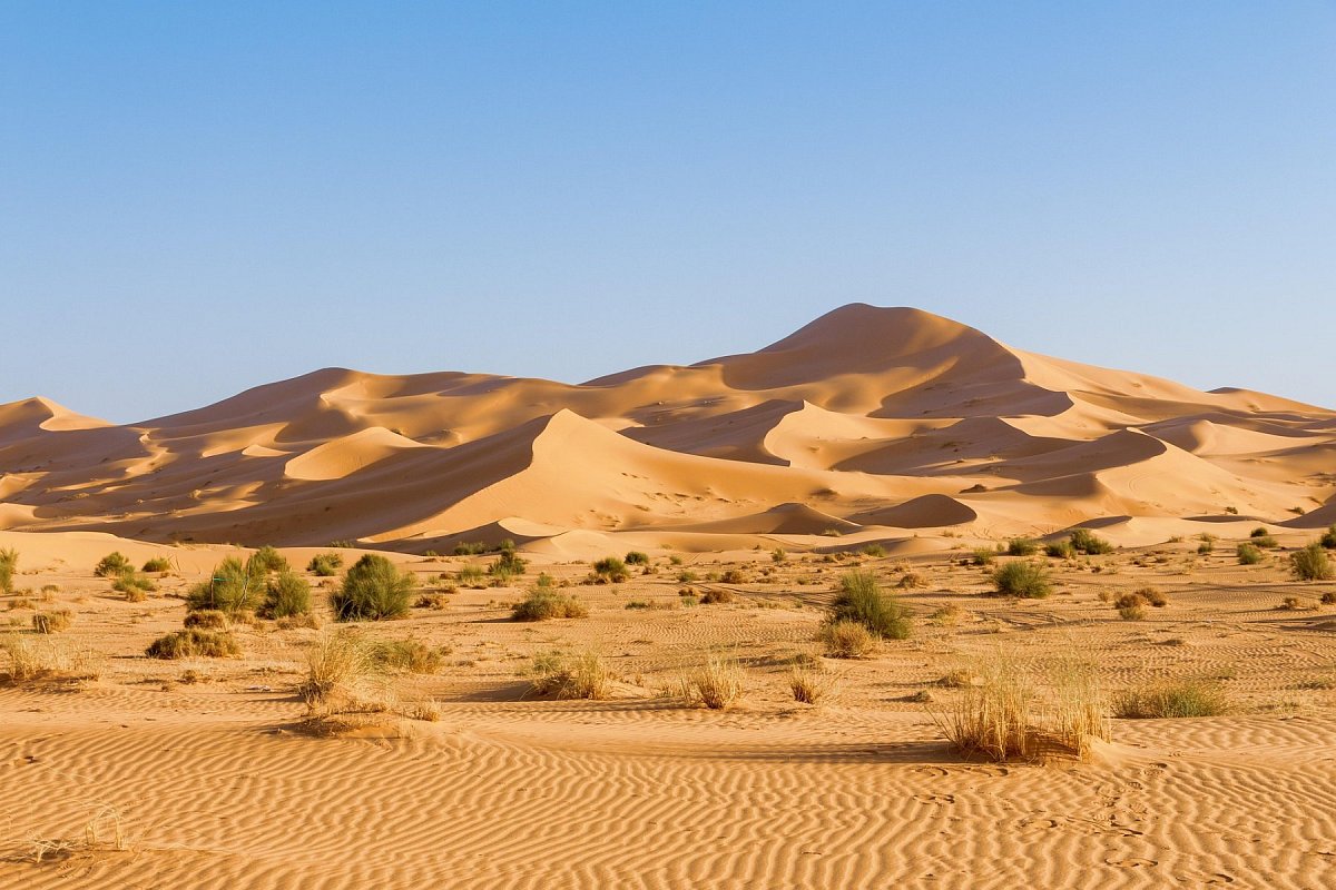 Západní Sahara