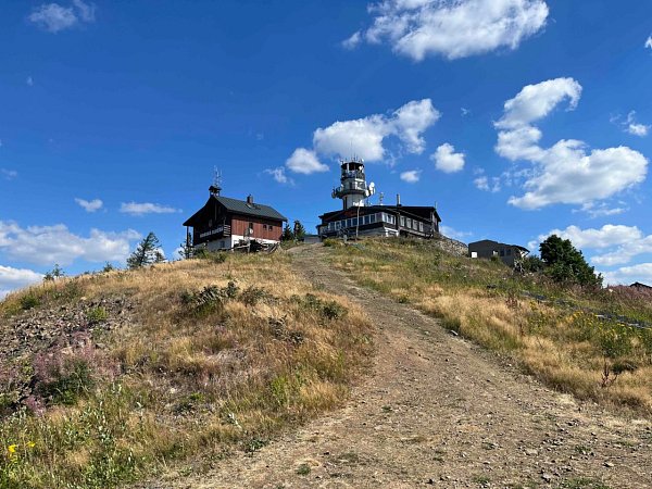 Plešivec