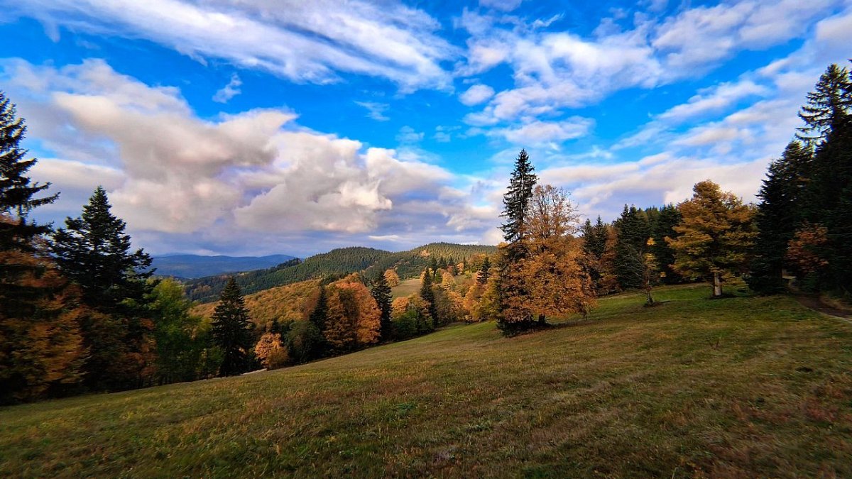 Javorníček (860 m)