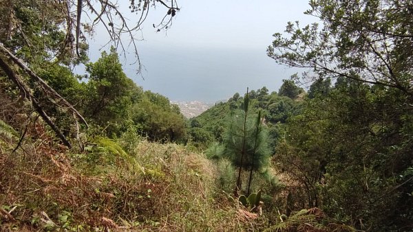 Montaña de la Tagoja
