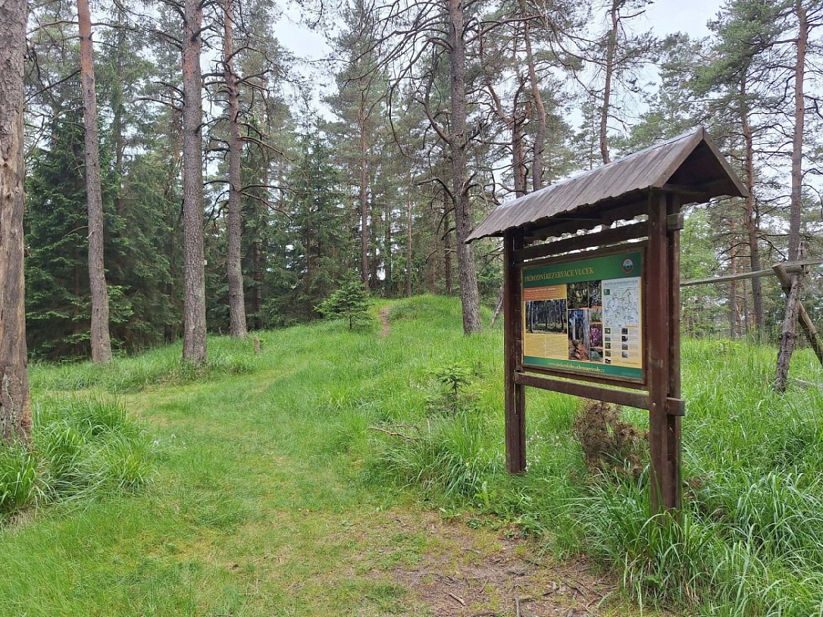 Vlčí kámen (883 m)