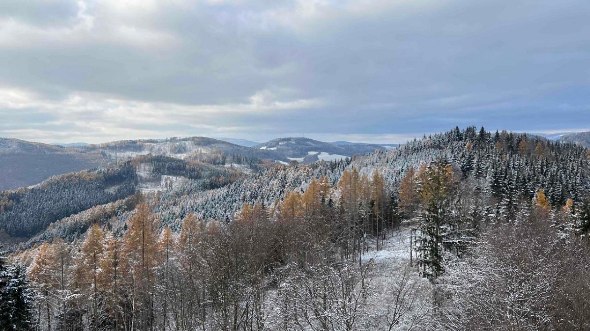 Přední Bukový kopec (624&nbsp;m)