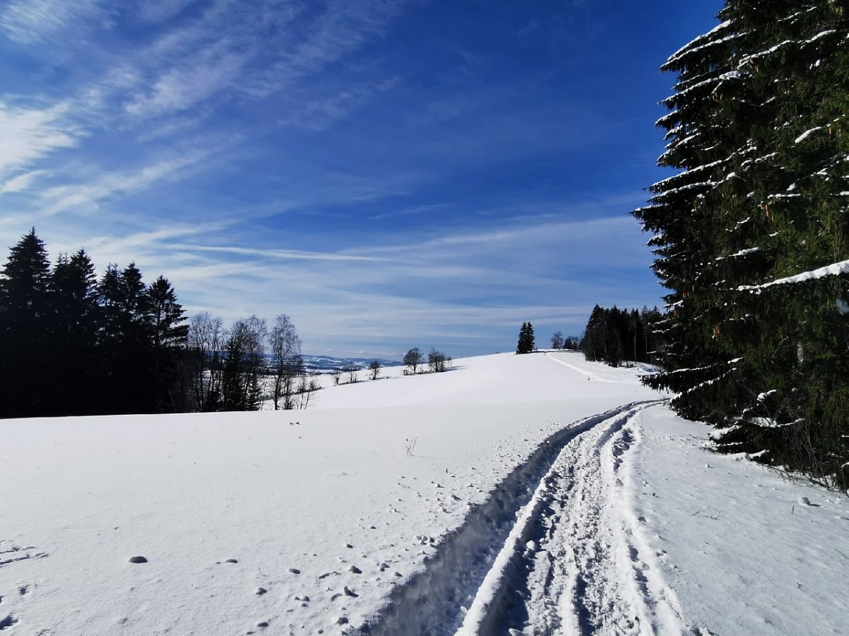 Bolkovský vrch (753 m)