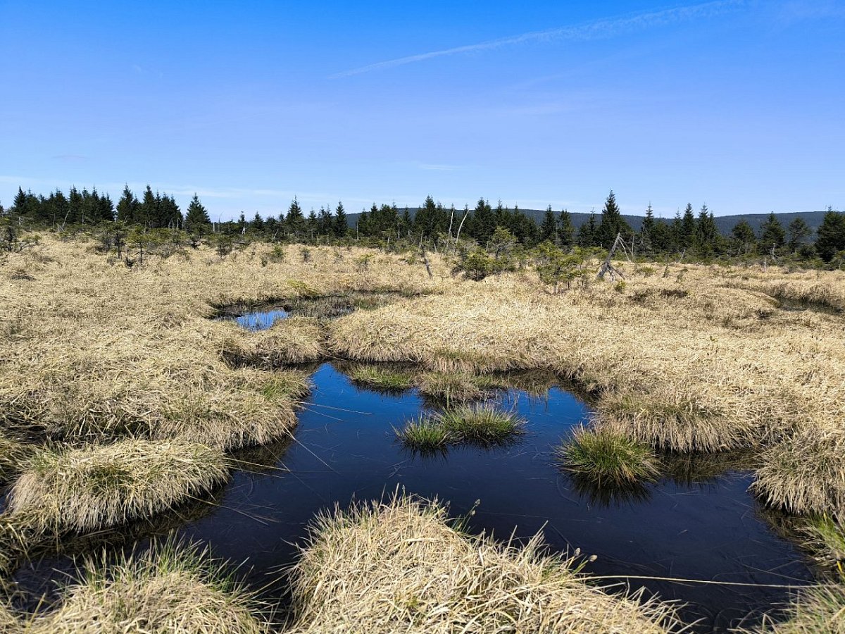 Plochý vrch (939&nbsp;m)