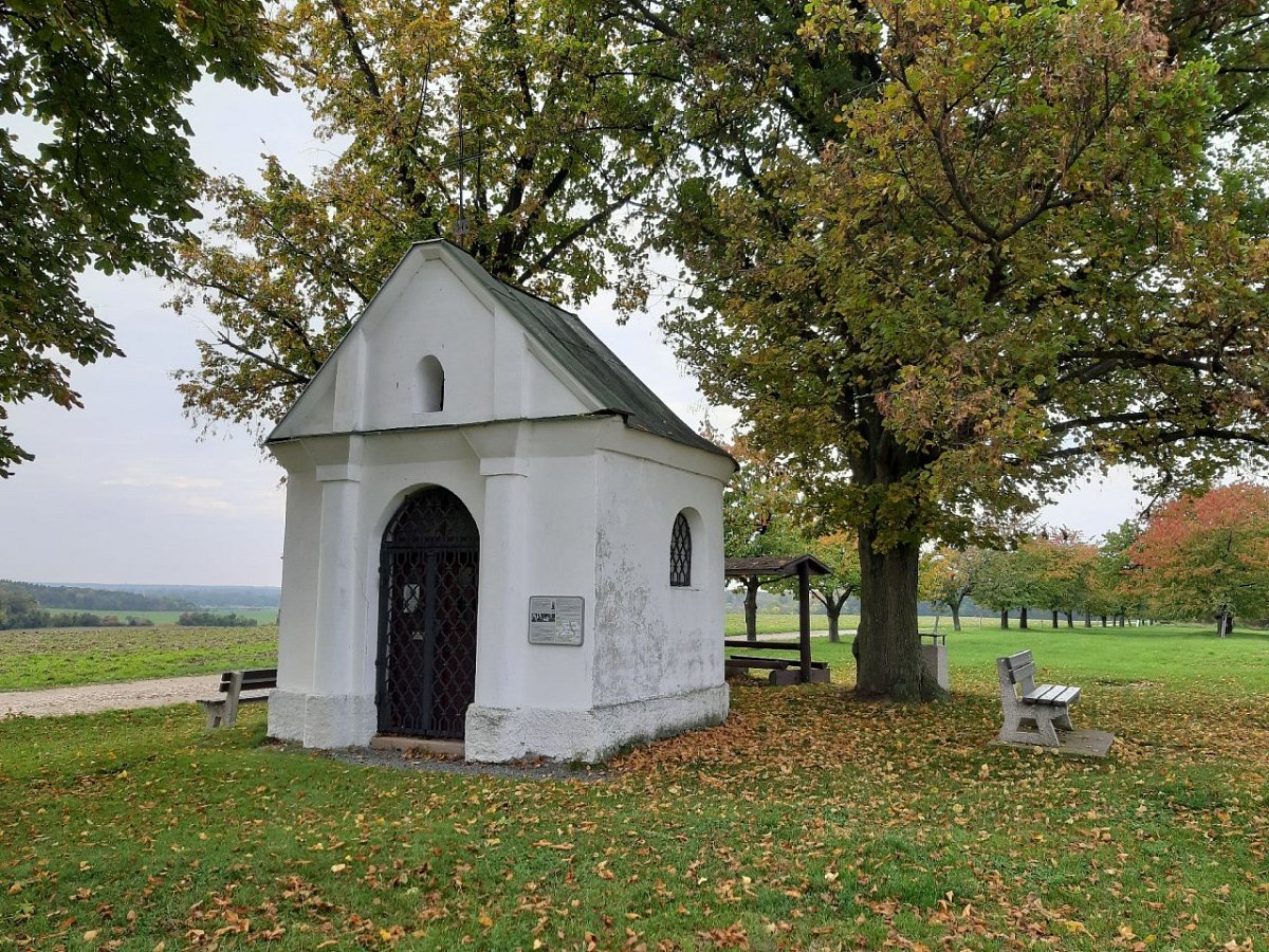 Na Vartě (305 m)