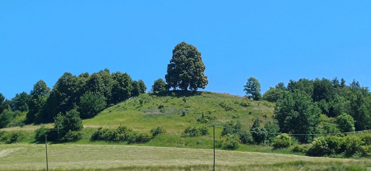 Horácův vrch (475&nbsp;m)