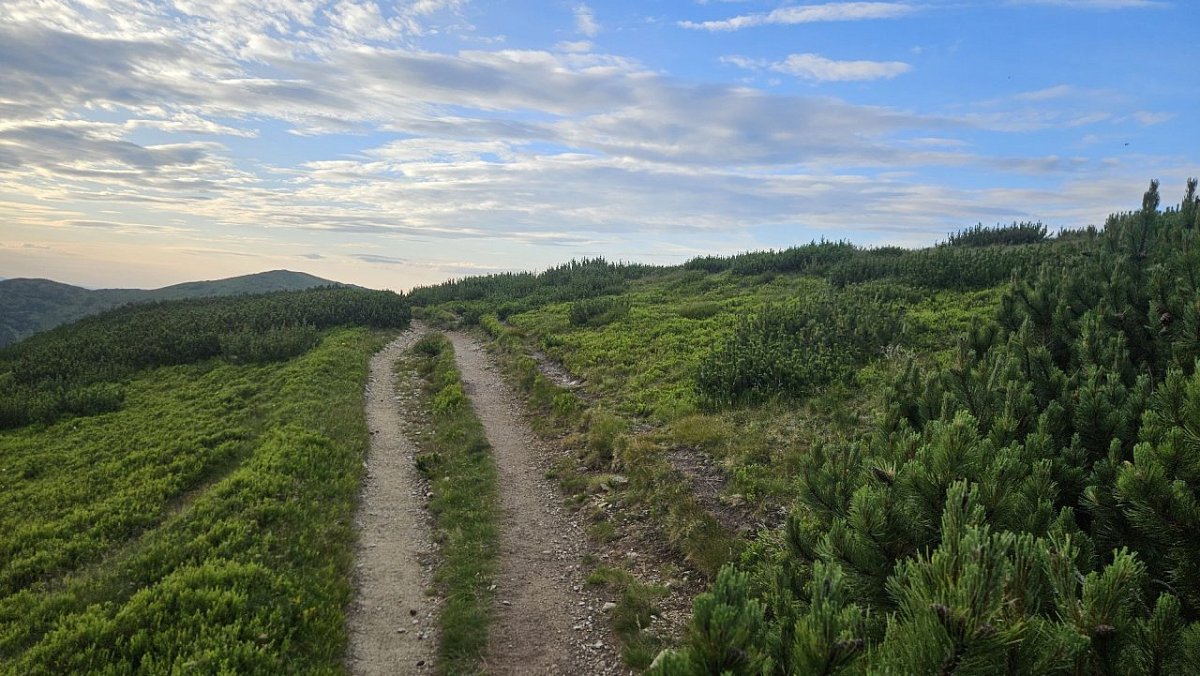 Králička (1807&nbsp;m)