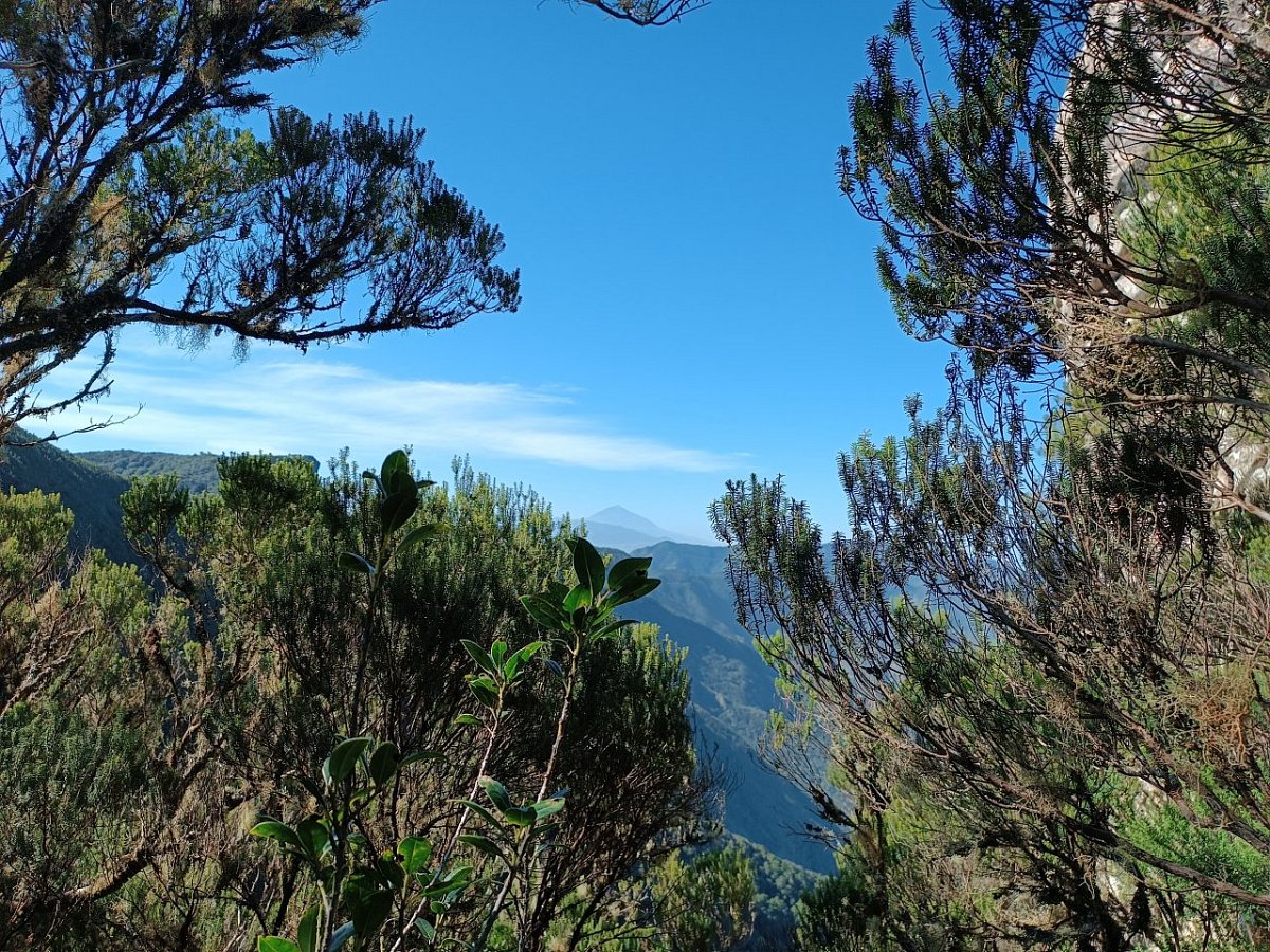 Roque Anambro (815&nbsp;m)
