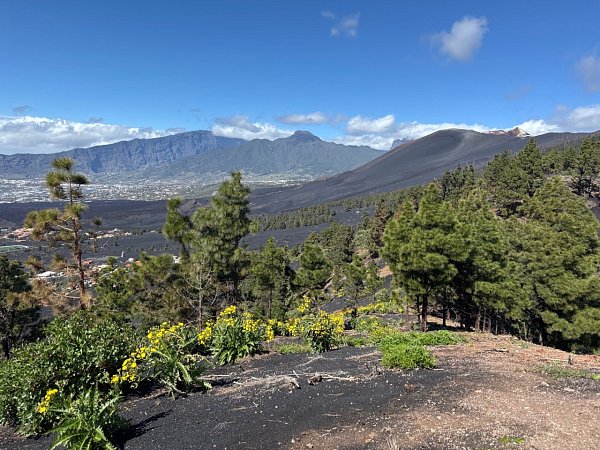 Montaña de Tamanca