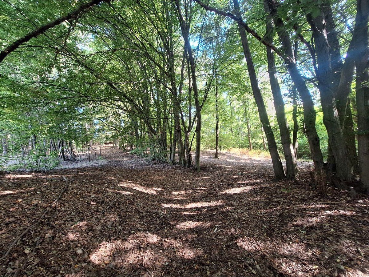 Chocholouš (354&nbsp;m)