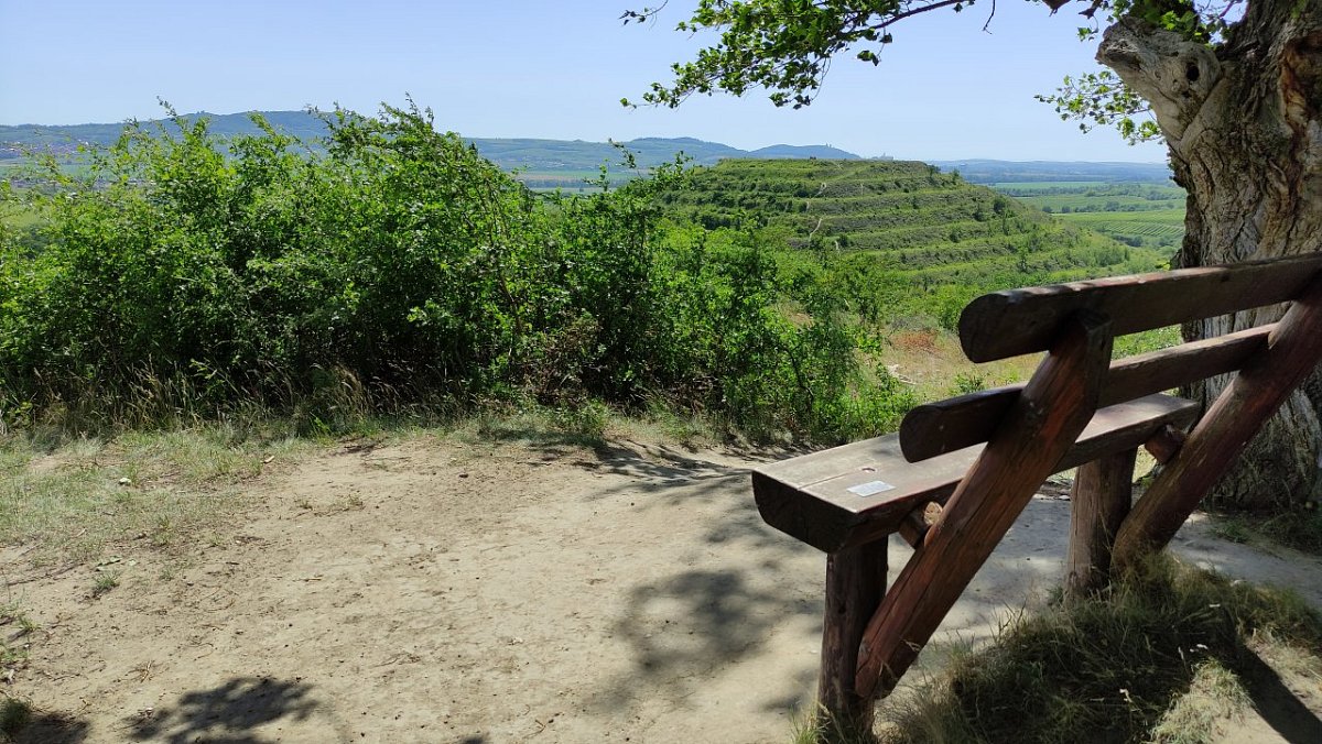 Růžová hora (282 m)