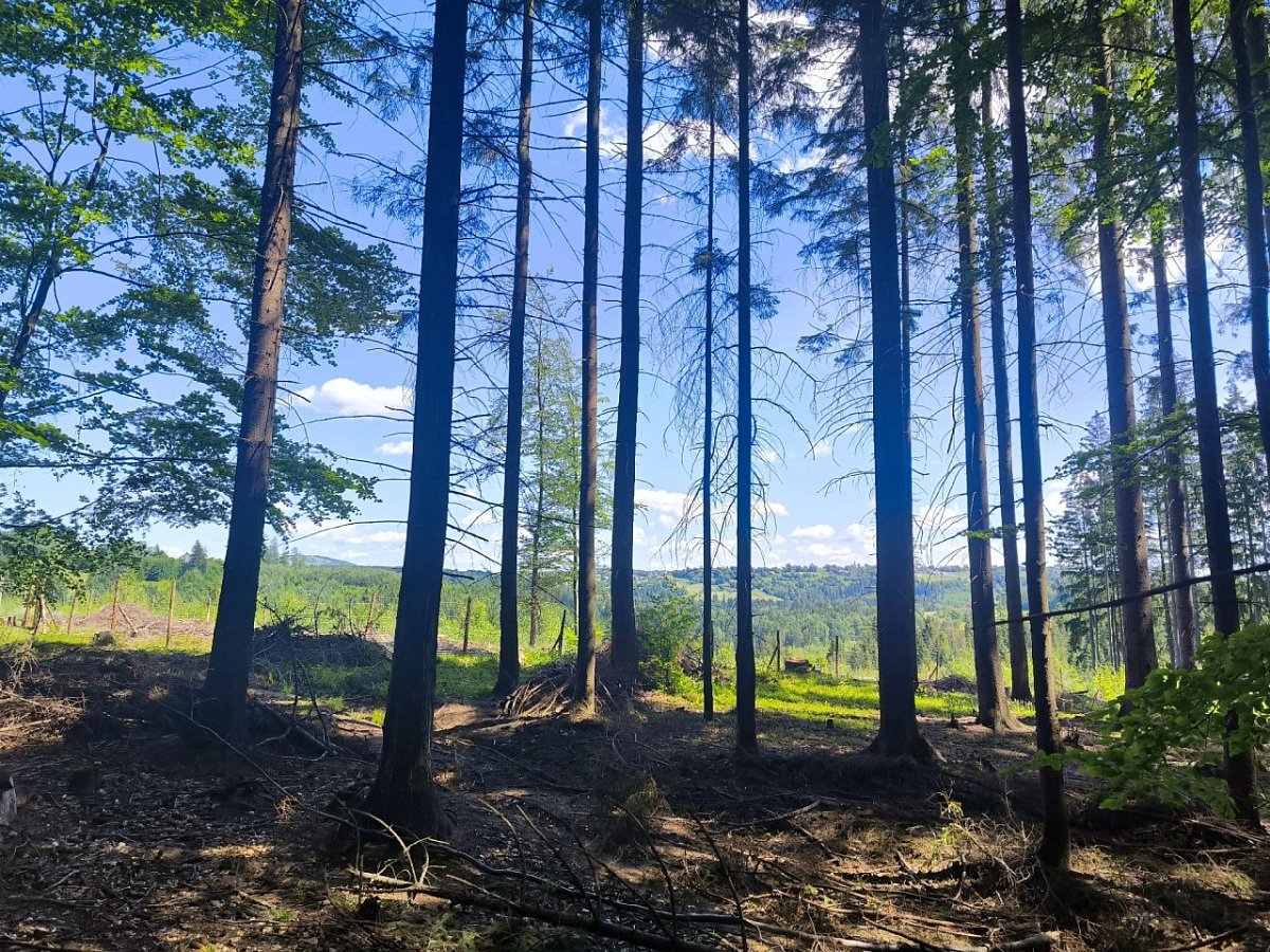 Hrádek (543&nbsp;m)