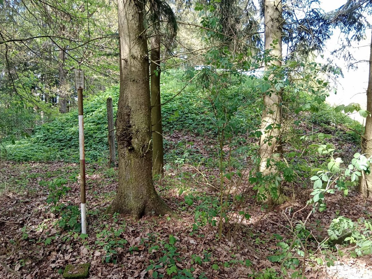 Pihalův kopec (515 m)