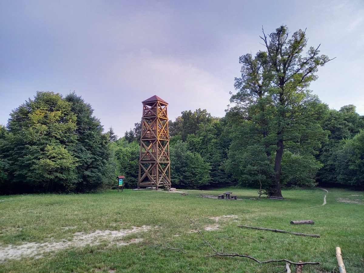 Mestská hora (Széchenyiho chlm) (374 m)
