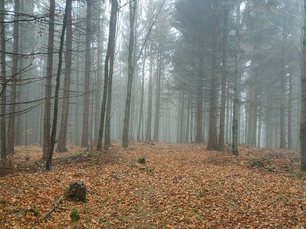 Klínec