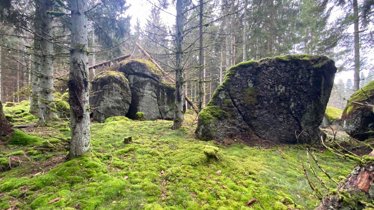 Popelový vrch (766&nbsp;m)