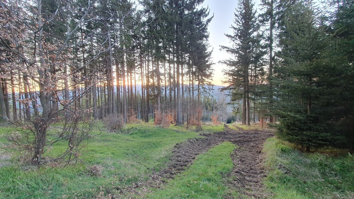Sněhulák (862&nbsp;m)