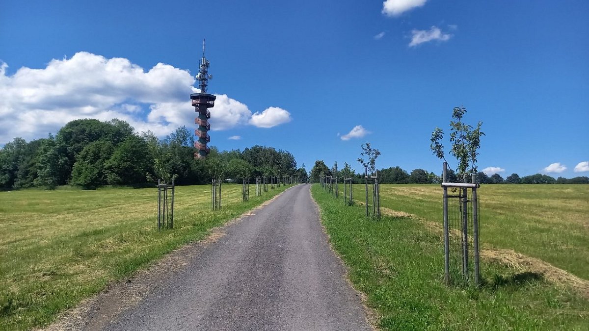 Sokolí vrch (506&nbsp;m)