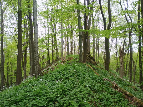 Lipka