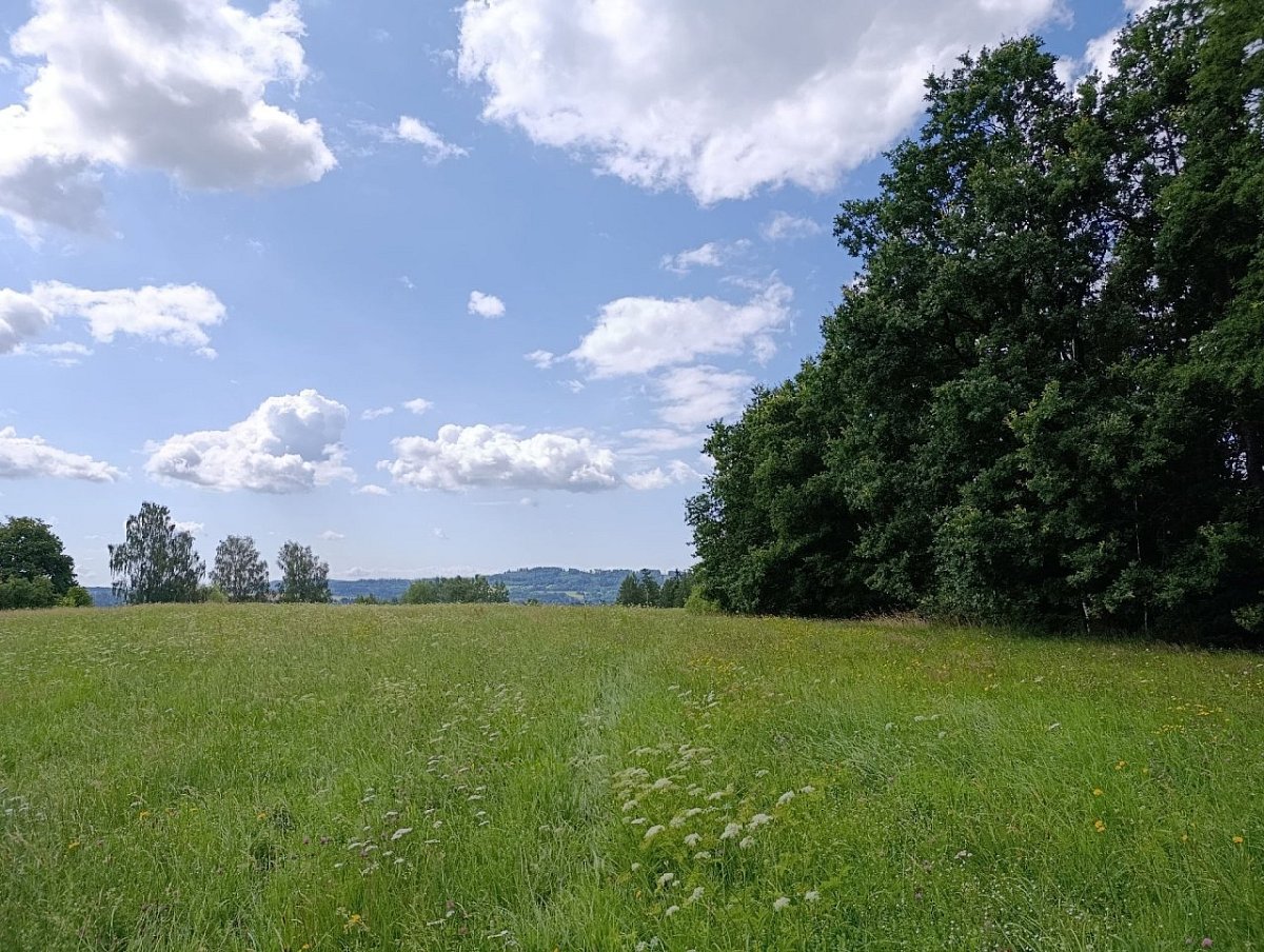 Na hlínách (456&nbsp;m)