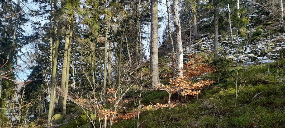 Malý Oheb (512&nbsp;m)
