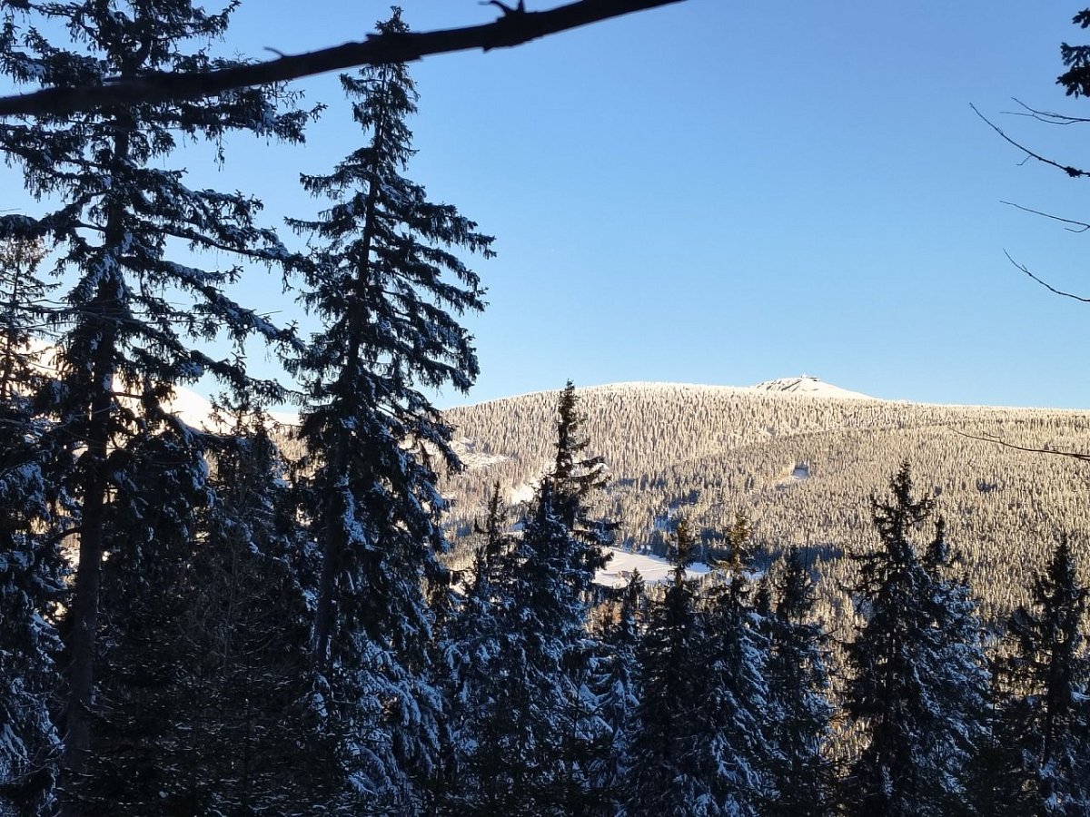 Javor (1002&nbsp;m)