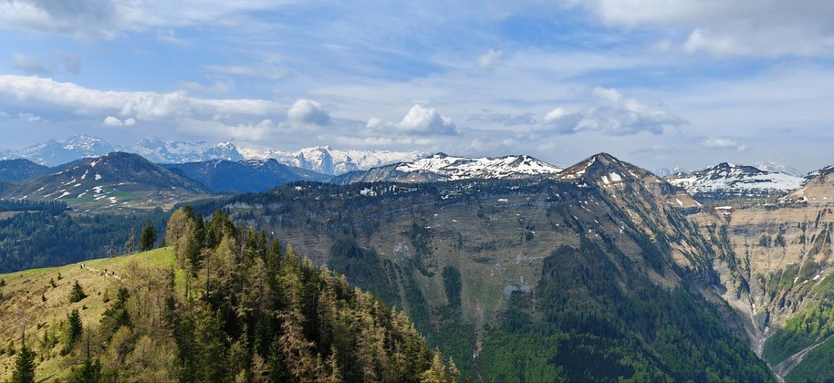 Wieslerhorn (1603&nbsp;m)