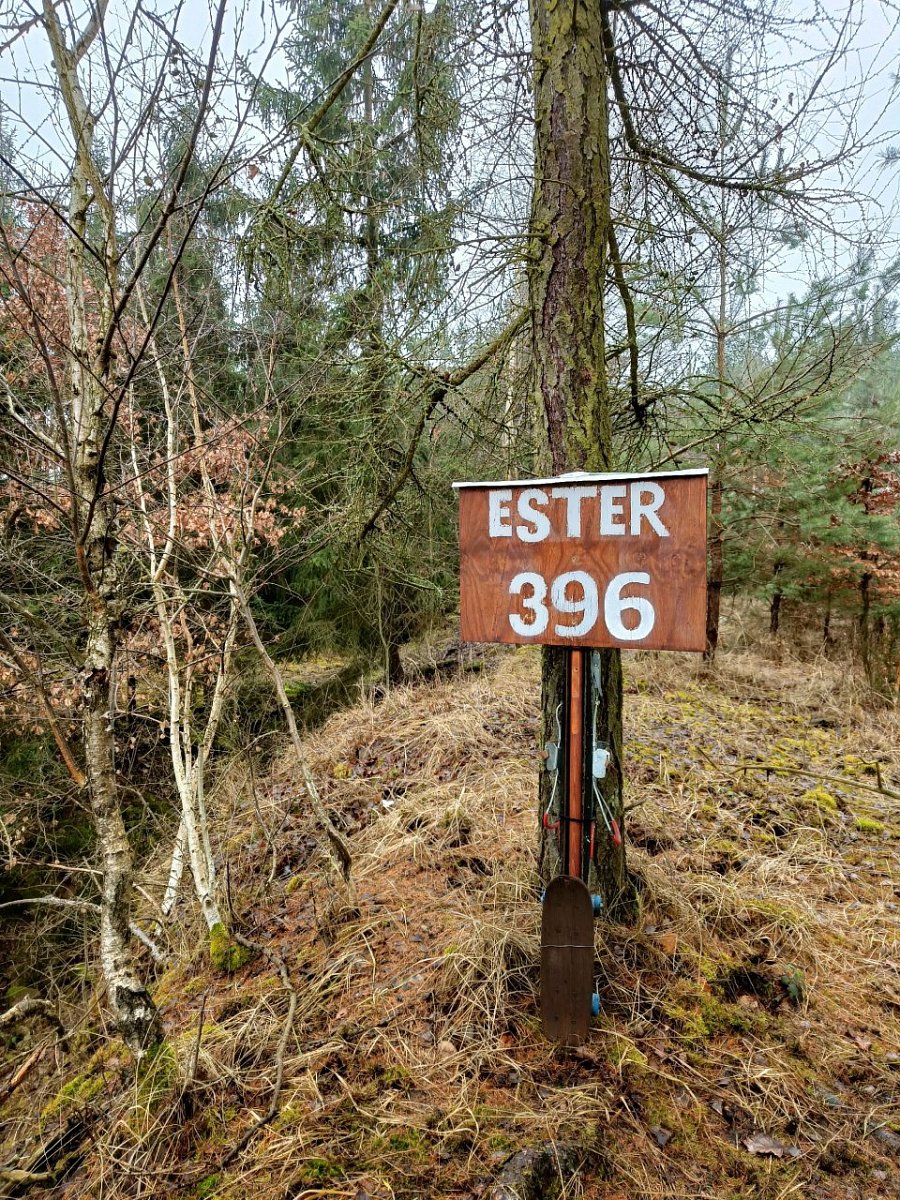 Ester (396&nbsp;m)