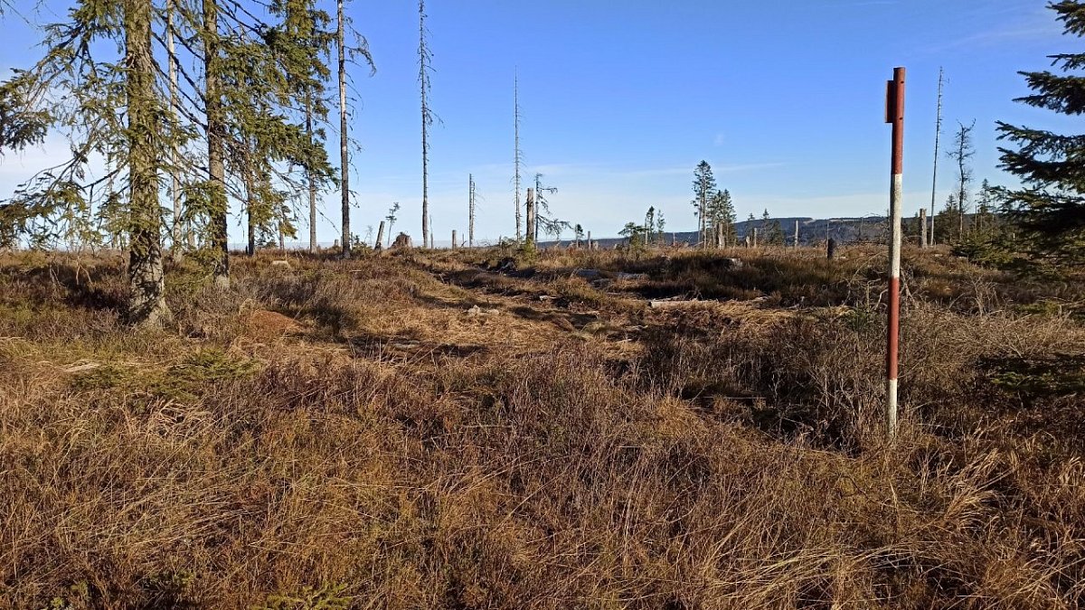 Adamova hora (1078&nbsp;m)