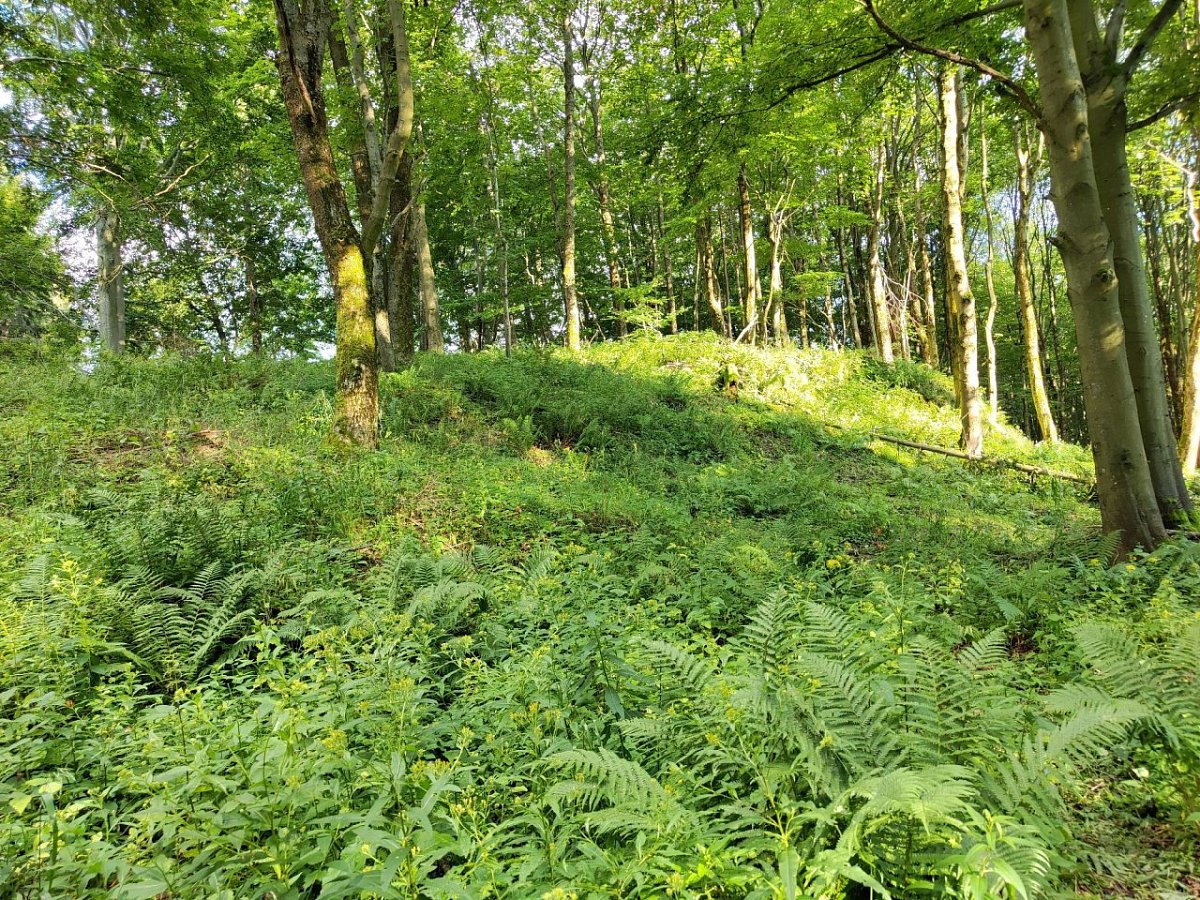 Solný vrch (828&nbsp;m)