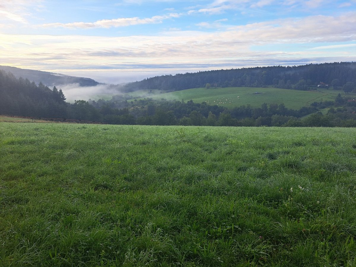 Tříselná kýla (453 m)