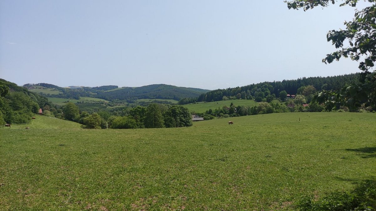 Novákův vrch (459&nbsp;m)