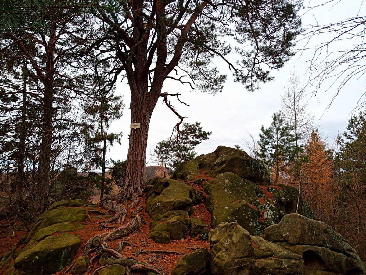 Karlova skála (386&nbsp;m)