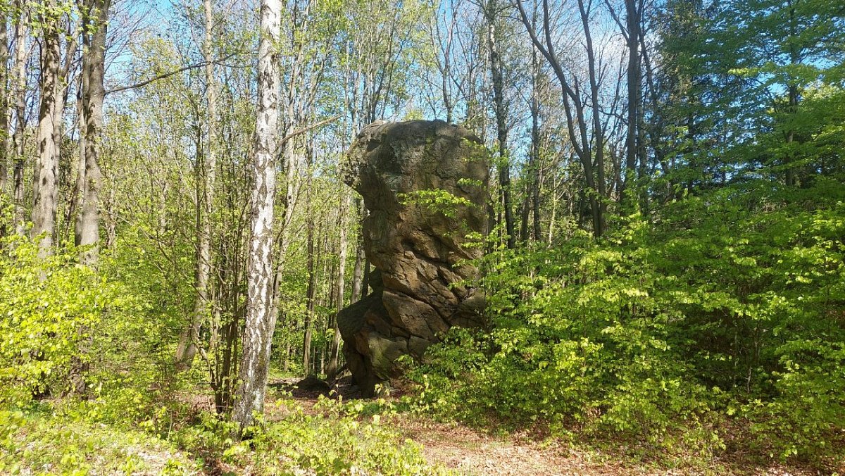Münzberg (511 m)