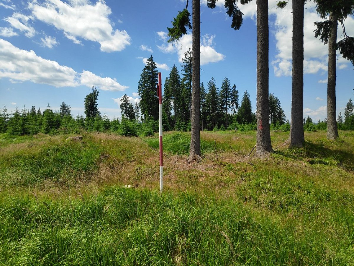 Břemeno (1157&nbsp;m)