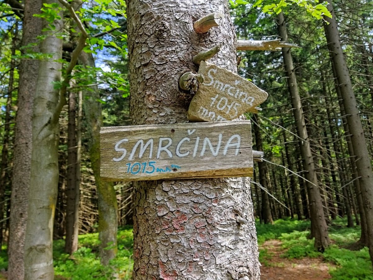 Smrčina (1015&nbsp;m)
