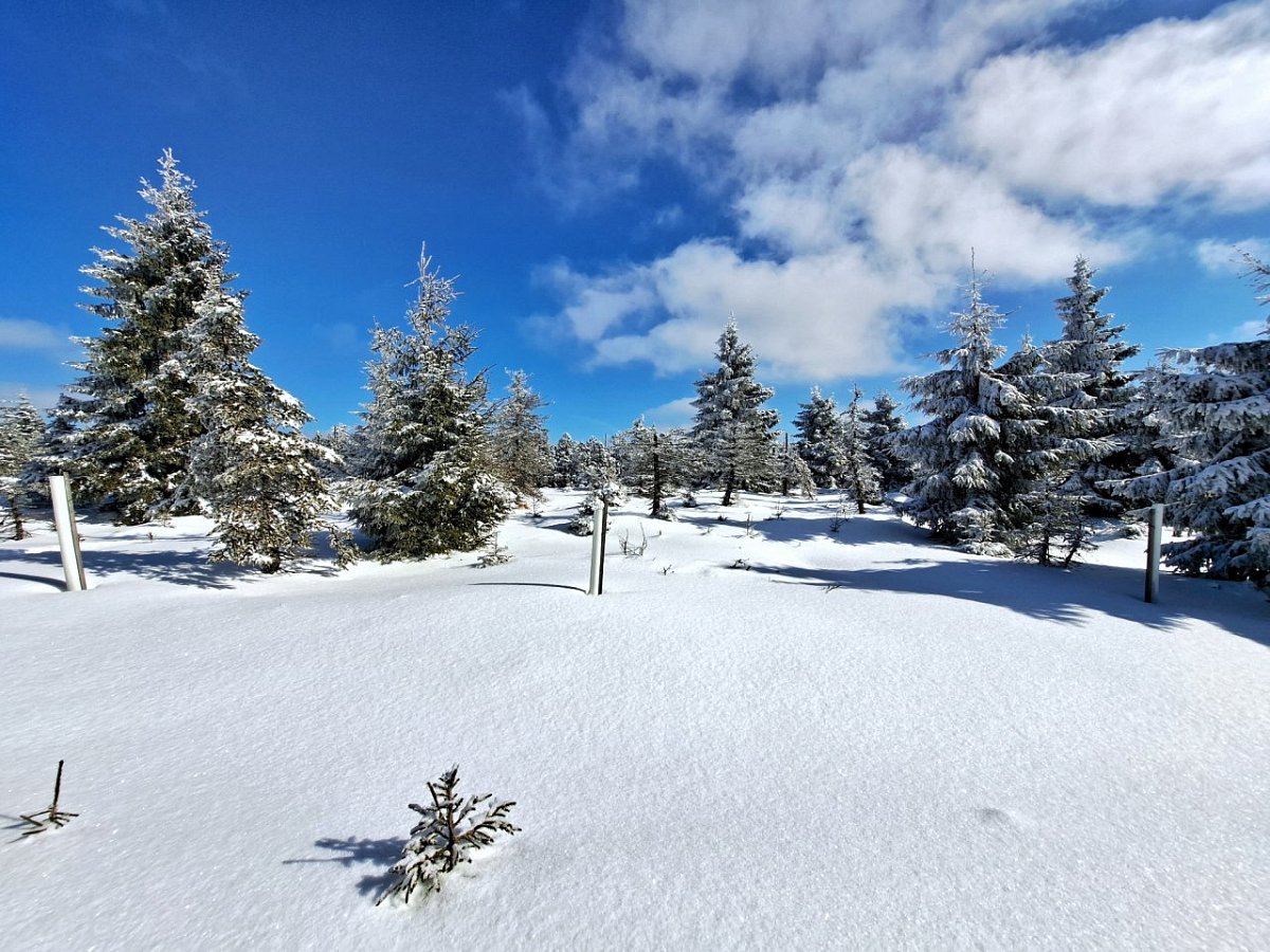 Štěpánovo návrší (1013 m)