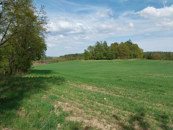 Remízek