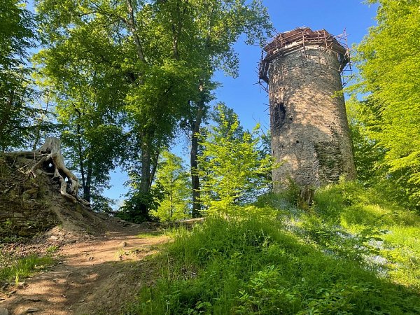 Chřenovice - zřícenina