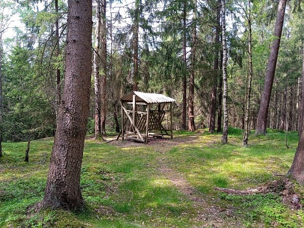 Panský vrch