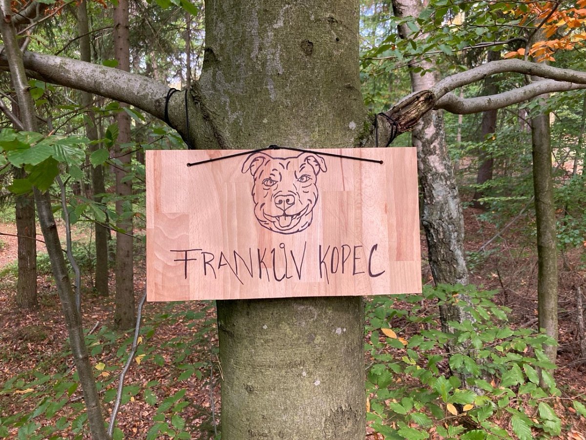 Frankův kopec (508&nbsp;m)