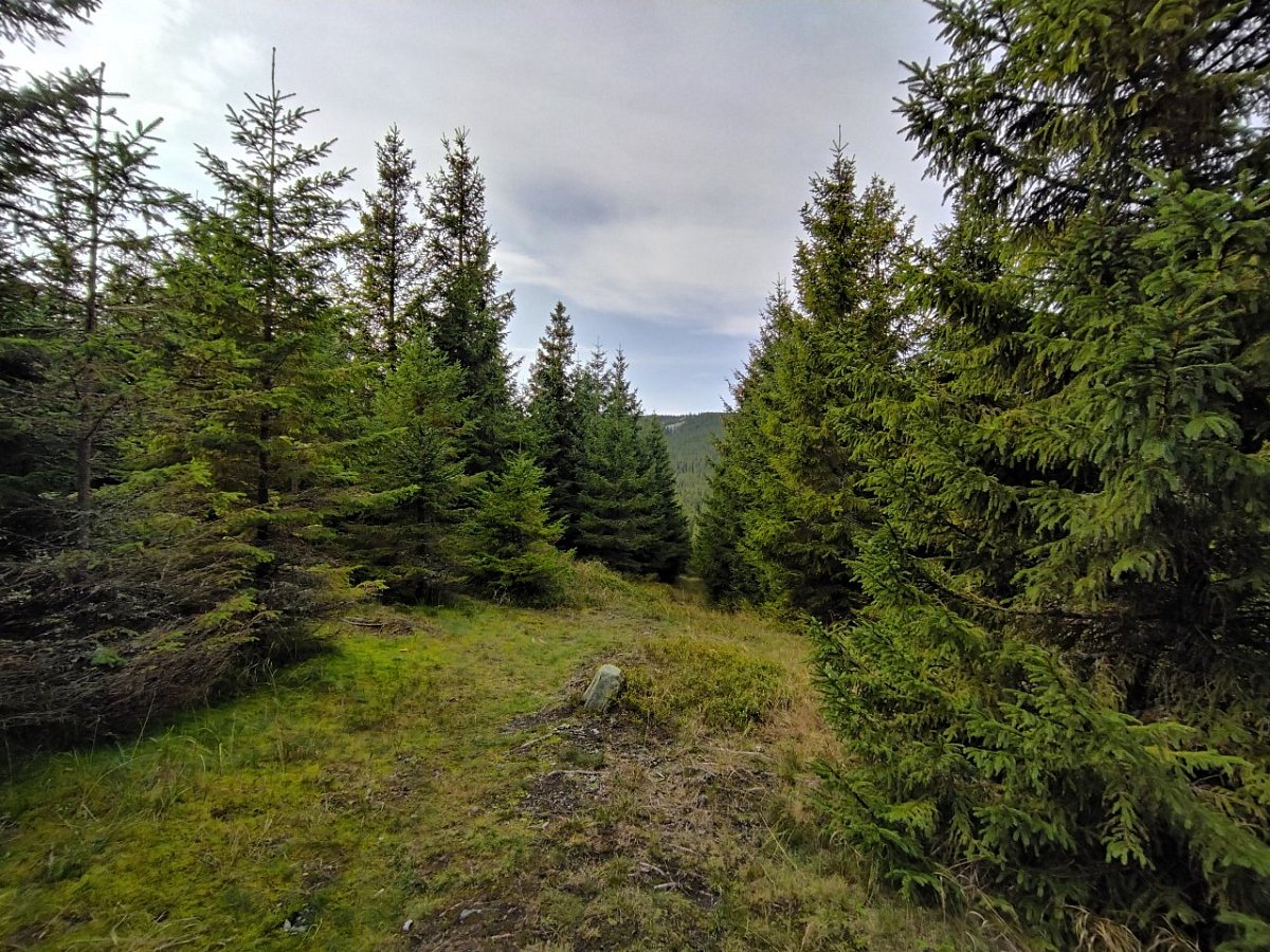 Hradečná (1057&nbsp;m)