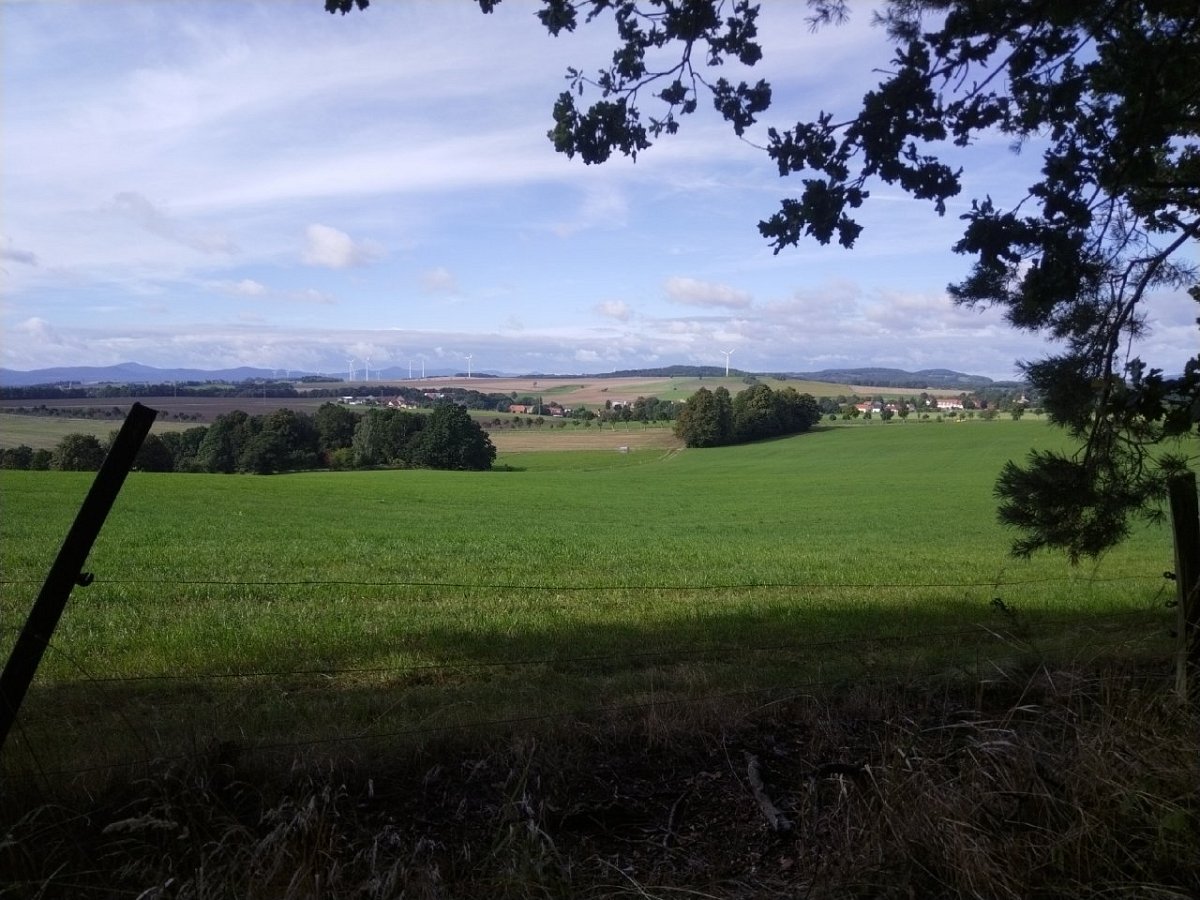 Leisehübel (342&nbsp;m)