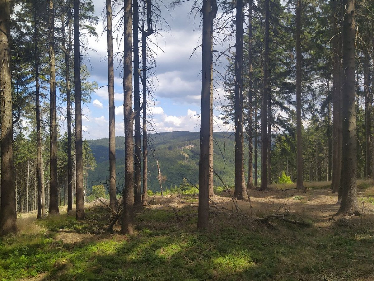 Bukovka (674&nbsp;m)