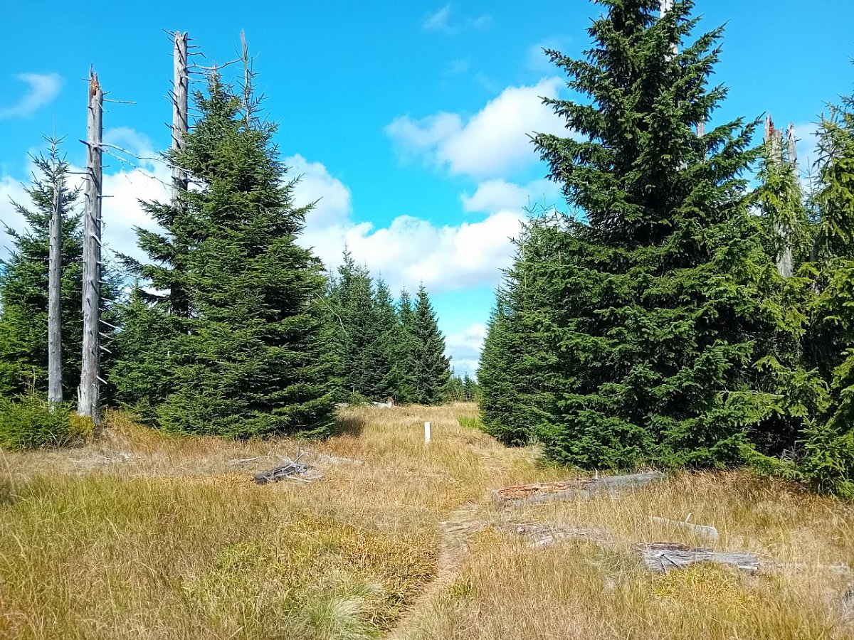 V Koutě (1277 m)